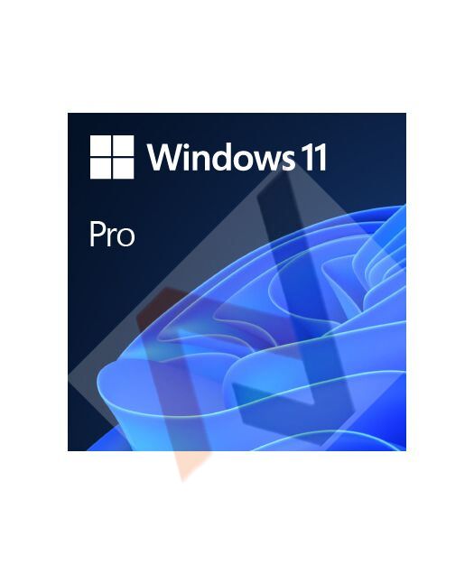 Windows 11 Pro OEM 64Bit İngilizce